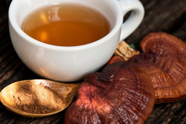 Reishi Mycality Mushrooms