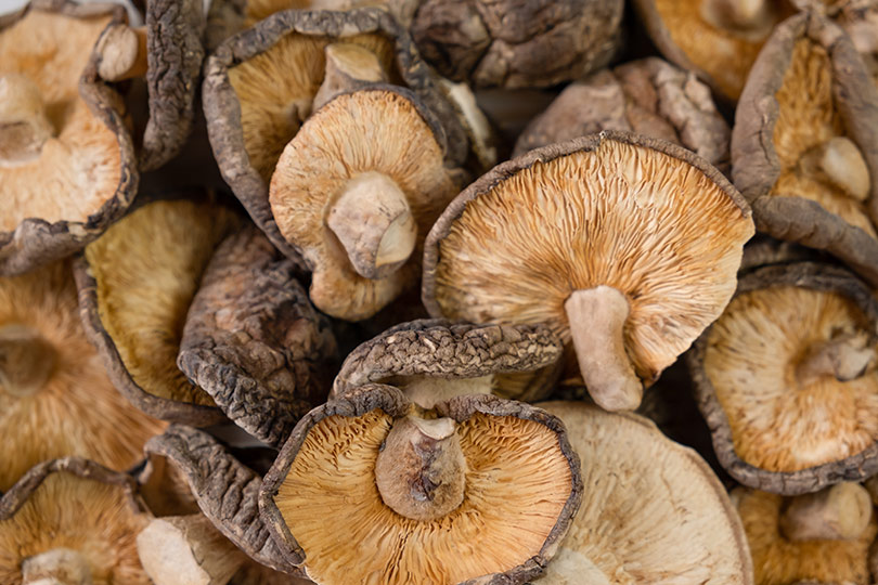SHIITAKE-